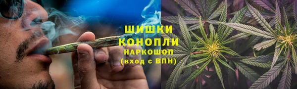бошки Новозыбков