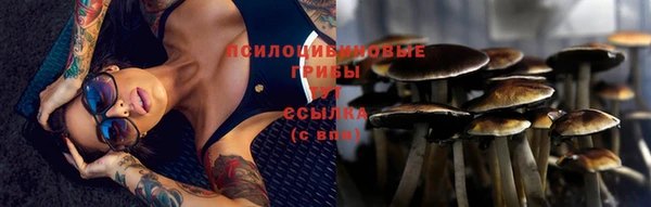 бошки Новозыбков