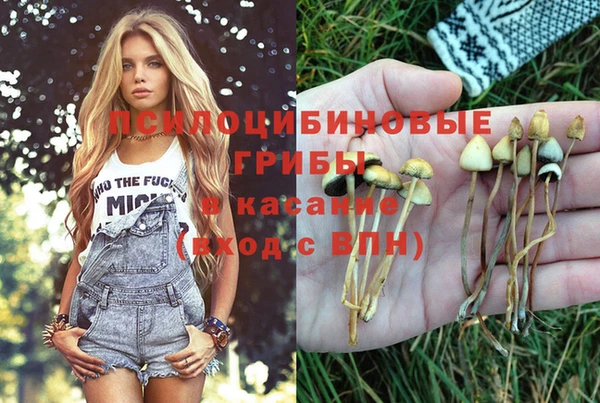 мефедрон мука Нязепетровск