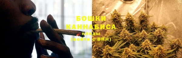 трава Нягань