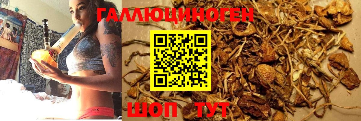 Псилоцибиновые грибы MAGIC MUSHROOMS Югорск